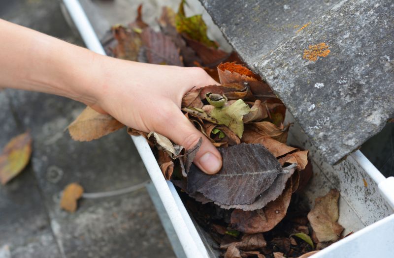 Commercial Gutter Cleaning in Roseville, CA