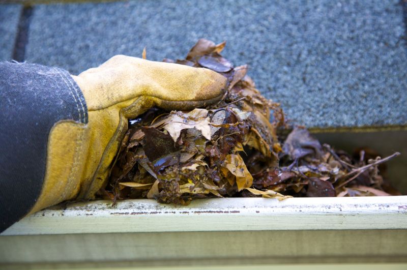 Rain Gutter Clearing in Bergen County, NJ