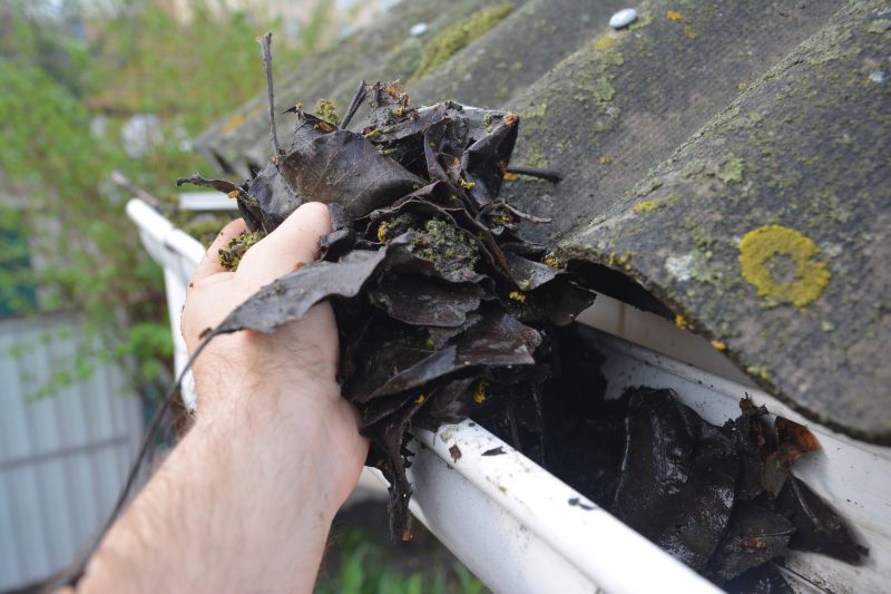 Roof Gutter Cleaning in Arvada, CO