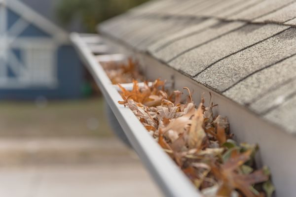 Gutter Leaf Cleaning
